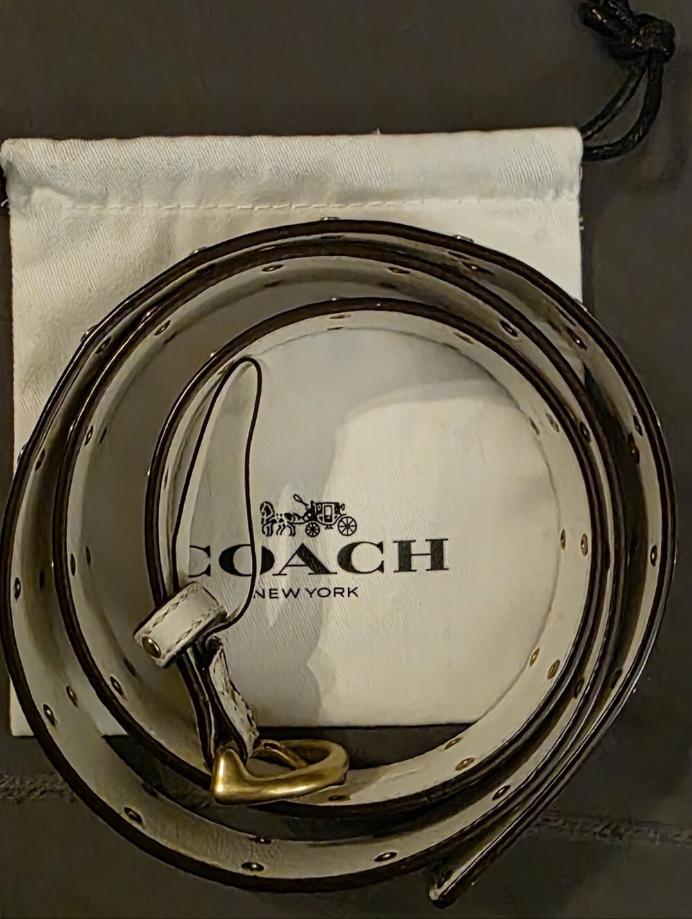 Coach Belt